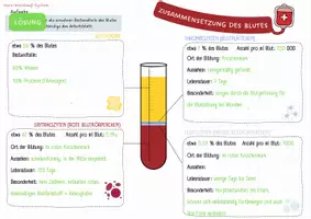 Vorschau - Arbeitsblätter - Zusammensetzung des Blutes (Blutbestandteile) - Seite 1