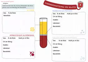 Vorschau - Arbeitsblätter - Zusammensetzung des Blutes (Blutbestandteile) - Deckblatt