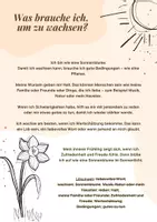 Vorschau - Arbeitsblätter - Ressourcen stärken zum Frühlingsstart - Seite 2