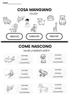 anteprima - Programmi scolastici / Materiali per docenti - VERIFICA SCIENZE (classe prima) - Pagina 1