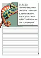 Vorschau - Arbeitsblätter - 8 x Abschreibtexte: TIERE #3 (3 Varianten) - Seite 3