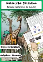 Vorschau - Arbeitsblätter - Natürliche Selektion Evolution Biologieunterricht - Deckblatt