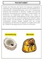 Vorschau - Arbeitsblätter - Fossilien als Beweise für die Evolution - Seite 1
