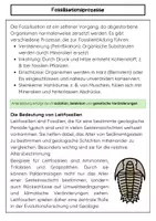 Vorschau - Arbeitsblätter - Fossilien als Beweise für die Evolution - Seite 2