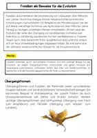 Vorschau - Arbeitsblätter - Fossilien als Beweise für die Evolution - Seite 3