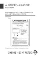 Vorschau - Arbeitsblätter - Blutalkoholkonzentration (BAK) Berechnung - Arbeitsblatt - Deckblatt