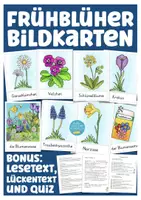 Aperçu - Présentation / Support pour le tableau - Frühblüher Bildkarten Deutsch Allemand - Page de couverture
