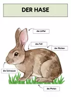 Vorschau - Poster - Der Hase Tafelmaterial | Legekreis Hase - Seite 1