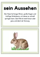 Vorschau - Poster - Der Hase Tafelmaterial | Legekreis Hase - Seite 3