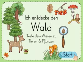 Vorschau - Interaktives Material - Wald - interaktives/digitales Rätsel - Seite 2