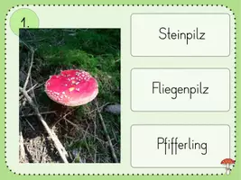 Vorschau - Interaktives Material - Wald - interaktives/digitales Rätsel - Seite 3