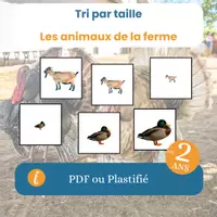 Aperçu - Apprentissages en autonomie - Le tri par taille des animaux de la ferme - Page de couverture