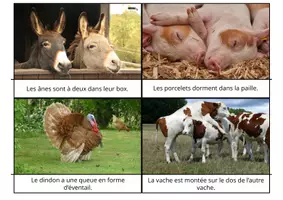 Aperçu - Apprentissages en autonomie - Le jeu de lecture des animaux de la ferme - Page 3