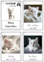 Vorschau - Fördermaterial/Inklusion - Meine Katze Mimi, Lesekarten für Erstleser (Silbenmethode), Nr. 003 - Seite 1