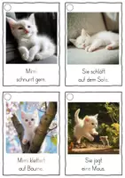 Vorschau - Fördermaterial/Inklusion - Meine Katze Mimi, Lesekarten für Erstleser (Silbenmethode), Nr. 003 - Seite 2
