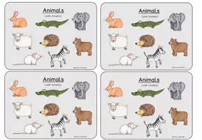 Vorschau - Spiele - What's missing? Kartenspiel Animals - Seite 1