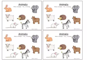 Vorschau - Spiele - What's missing? Kartenspiel Animals - Seite 3