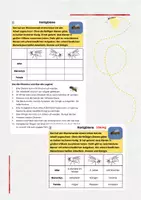 Vorschau - Arbeitsblätter - Insekten Logicals - Seite 3