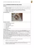 anteprima - Programmi scolastici / Materiali per docenti - Relazione laboratorio sulla tensione superficiale A28-A50 - Pagina 2