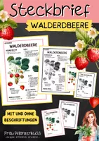 Vorschau - Arbeitsblätter - Steckbrief Walderdbeere Grundschule ab 3. Klasse - Deckblatt