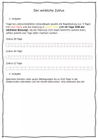 Vorschau - Arbeitsblätter - Der weibliche Zyklus - ABL zu unterschiedlichen Zykluslängen - Seite 1