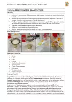 anteprima - Programmi scolastici / Materiali per docenti - Relazione di lab su denaturazione delle proteine A28-A50 - Pagina 1