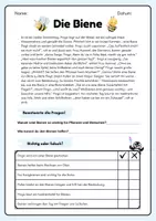 Vorschau - Arbeitsblätter - Pingos Lesewerkstatt - Sommer - Lesegeschichten mit Fragen - Seite 1