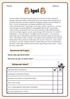 Vorschau - Arbeitsblätter - Pingos Lesewerkstatt - Herbst - Lesegeschichten mit Fragen - Seite 3