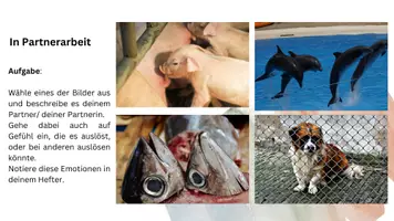 Vorschau - Unterrichtsreihen - 23 Tierethik und Einstieg Mitleid - Ethik in der Oberstufe - Seite 2