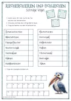 Vorschau - Arbeitsblätter - Recherchieren und schleichen - Schräge Vögel (Schleich-Recherche) - Seite 3