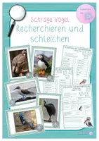 Vorschau - Arbeitsblätter - Recherchieren und schleichen - Schräge Vögel (Schleich-Recherche) - Deckblatt
