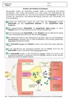 Vorschau - Arbeitsblätter - Struktur und Funktion der Synapse - Deckblatt