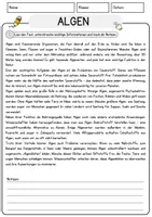 Vorschau - Arbeitsblätter - Algen Biologie Arbeitsblätter mit Lösungen Lesetext - Seite 1