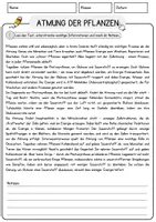 Vorschau - Arbeitsblätter - Atmung der Pflanzen Biologie Arbeitsblätter mit Lösungen Lesetext - Seite 1