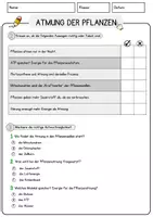 Vorschau - Arbeitsblätter - Atmung der Pflanzen Biologie Arbeitsblätter mit Lösungen Lesetext - Seite 2