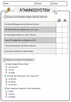 Vorschau - Arbeitsblätter - Atmungssystem Biologie Arbeitsblätter mit Lösungen Lesetext - Seite 3