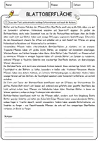 Vorschau - Arbeitsblätter - Blattoberflaeche (1) Biologie Arbeitsblätter mit Lösungen Lesetext - Seite 1