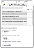 Vorschau - Arbeitsblätter - Blattoberflaeche (1) Biologie Arbeitsblätter mit Lösungen Lesetext - Seite 2