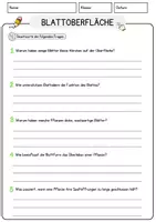 Vorschau - Arbeitsblätter - Blattoberflaeche (1) Biologie Arbeitsblätter mit Lösungen Lesetext - Seite 3