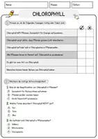 Vorschau - Arbeitsblätter - Chlorophyll Biologie Arbeitsblätter mit Lösungen Lesetext - Seite 2