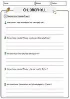 Vorschau - Arbeitsblätter - Chlorophyll Biologie Arbeitsblätter mit Lösungen Lesetext - Seite 3