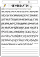 Vorschau - Arbeitsblätter - Gewebearten Biologie Arbeitsblätter mit Lösungen Lesetext - Seite 1
