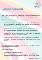 Vista previa - Hojas de trabajo - Animales vertebrados e invertebrados - página 1