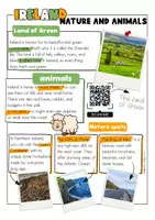 Vorschau - Arbeitsblätter - Ireland | Informationsposter | Fact Sheets | Landeskunde Irland - Seite 3
