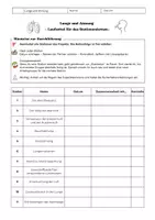 Vorschau - Stundenentwürfe - Materialpaket – Atmung und Lunge - Seite 2