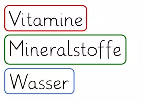 Vorschau - Stundenentwürfe - Gesunde Ernährung / Nährstoffe: Einführungsstunde (Umsetzungsidee, Geschichte & Material) - Seite 1