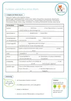 Vorschau - Arbeitsblätter - Aufbau des Blattes - Arbeitsblatt - Seite 2
