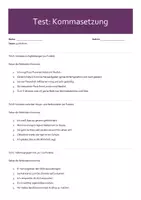 Vorschau - Arbeitsblätter - Test Kommasetzung (mit Lösungen & Erwartungshorizont) - Seite 1