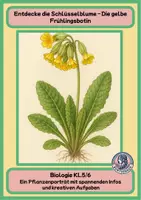 Vorschau - Arbeitsblätter - Entdecke die Schlüsselblume – Die gelbe Frühlingsbotin - Deckblatt