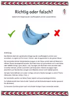 Vorschau - Spiele - Richtig oder falsch? - spielerisch Lesen üben - Deckblatt